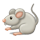 쥐