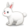 토끼